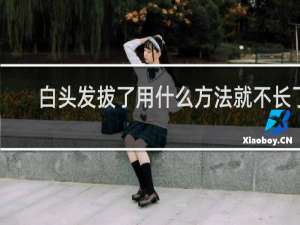 白头发拔了用什么方法就不长了