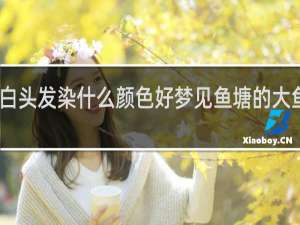 白头发染什么颜色好梦见鱼塘的大鱼死掉