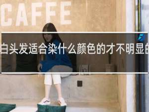 白头发适合染什么颜色的才不明显的发型