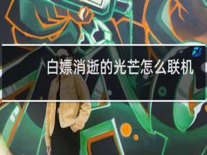白嫖消逝的光芒怎么联机