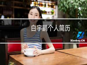 白宇鹏个人简历