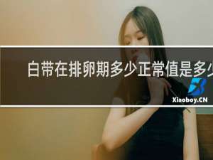白带在排卵期多少正常值是多少