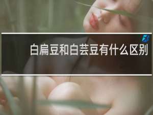 白扁豆和白芸豆有什么区别