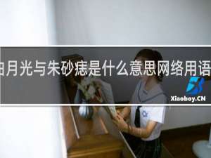 白月光与朱砂痣是什么意思网络用语什么梗