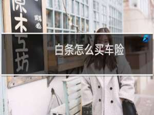 白条怎么买车险