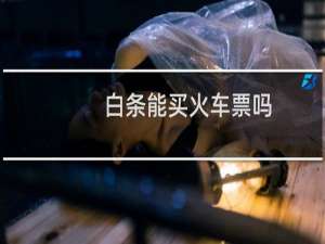 白条能买火车票吗