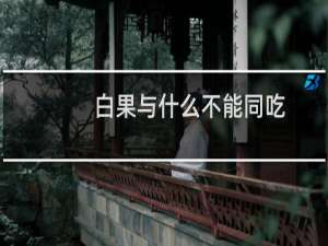 白果与什么不能同吃