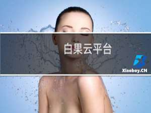 白果云平台