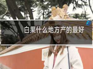 白果什么地方产的最好