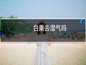 白果去湿气吗