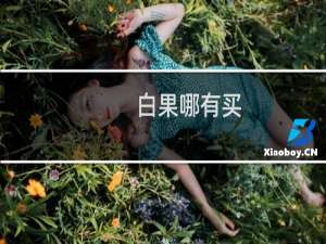 白果哪有买