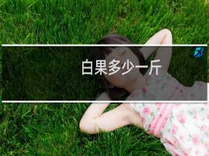 白果多少一斤
