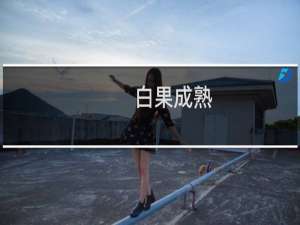 白果成熟