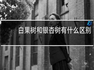 白果树和银杏树有什么区别