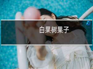 白果树果子