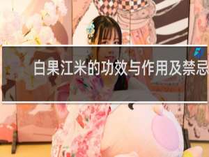 白果江米的功效与作用及禁忌