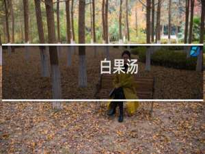 白果汤