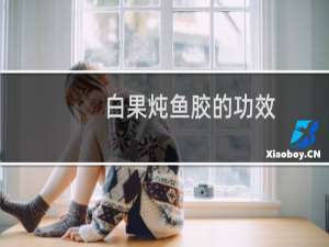 白果炖鱼胶的功效