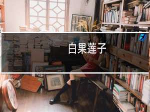 白果莲子