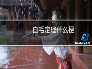 白毛定理什么梗
