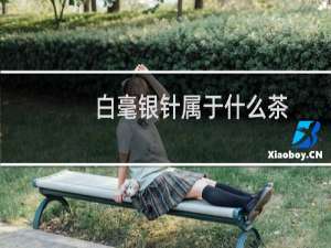 白毫银针属于什么茶（功效与作用）