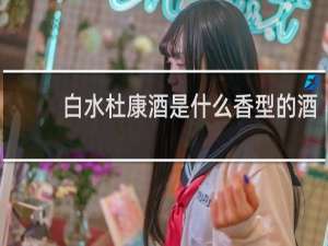 白水杜康酒是什么香型的酒