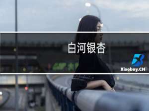白河银杏