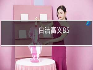 白洁高义85