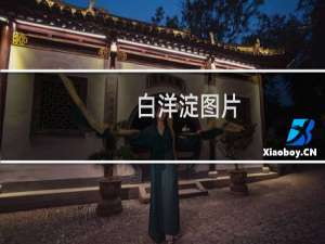 白洋淀图片