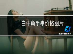 白牛角手串价格图片