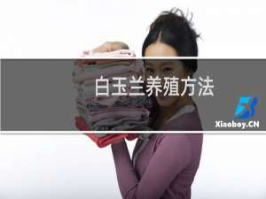 白玉兰养殖方法