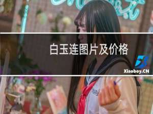 白玉连图片及价格