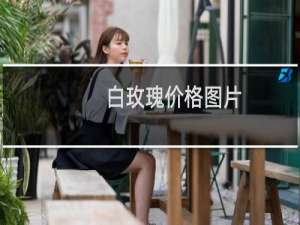 白玫瑰价格图片