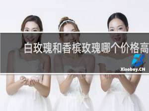 白玫瑰和香槟玫瑰哪个价格高