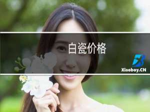 白瓷价格