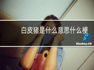 白皮猪是什么意思什么梗