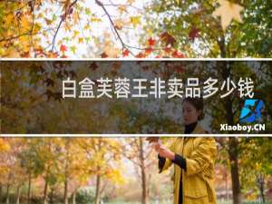 白盒芙蓉王非卖品多少钱