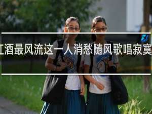 白红酒最风流这一人消愁随风歌唱寂寞愁什么歌