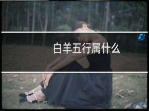 白羊五行属什么