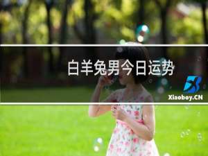 白羊兔男今日运势