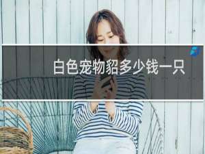 白色宠物貂多少钱一只