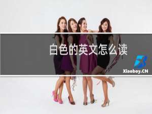 白色的英文怎么读