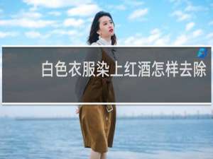 白色衣服染上红酒怎样去除