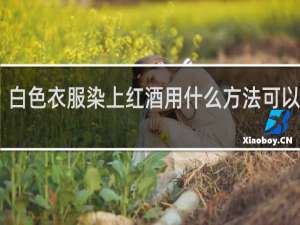 白色衣服染上红酒用什么方法可以去掉