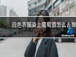 白色衣服染上葡萄酒怎么去除