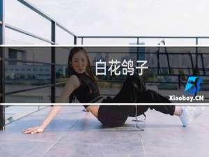 白花鸽子
