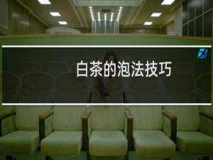 白茶的泡法技巧（白茶的泡法）