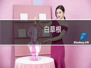 白草根