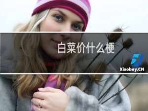白菜价什么梗