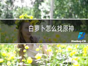 白萝卜怎么找原神
